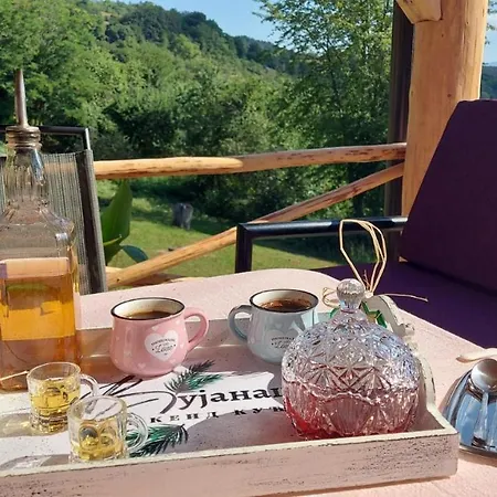 Vujanac Vikend Kuca * Raška