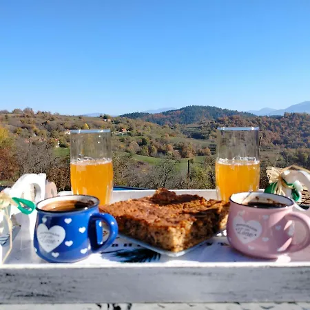 Holiday home Vujanac Vikend Kuca *