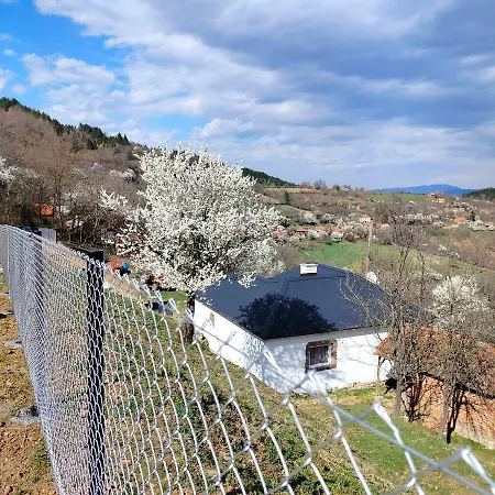 Holiday home Vujanac Vikend Kuca *