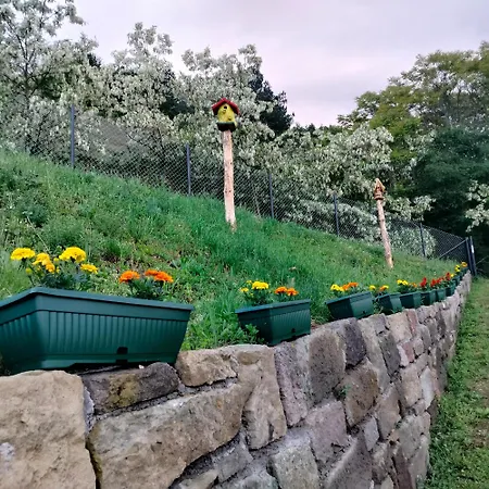 Vujanac Vikend Kuca * Raška