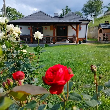 Holiday home Vujanac Vikend Kuca *