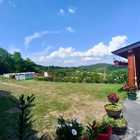 بيت للعطل Vujanac Vikend Kuca Raška