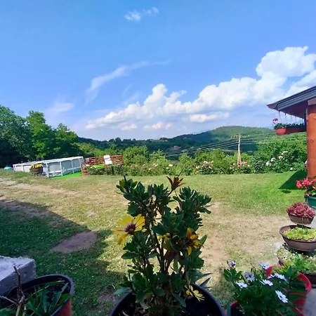 Vujanac Vikend Kuca Raška