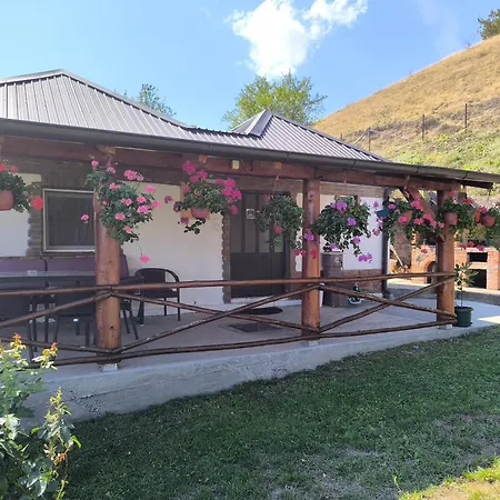 Holiday home Vujanac Vikend Kuca *