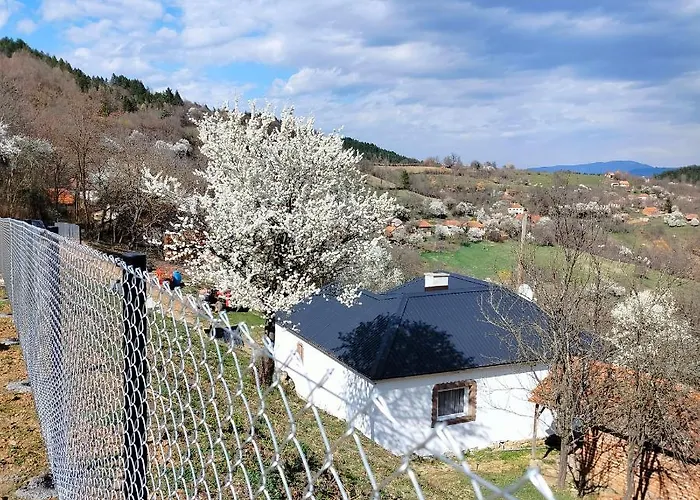 Дом отдыха Vujanac Vikend Kuca *