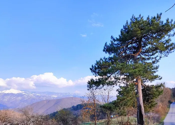 Vujanac Vikend Kuca *