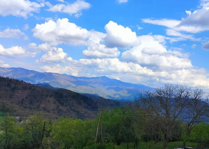 Vujanac Vikend Kuca *