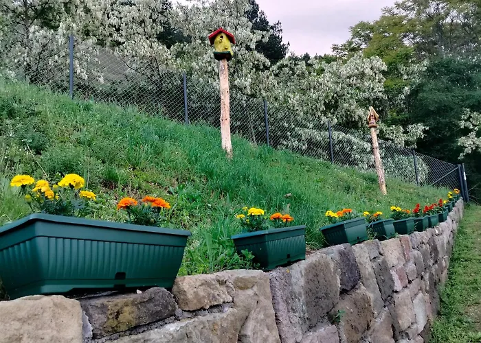 Vujanac Vikend Kuca * Raska