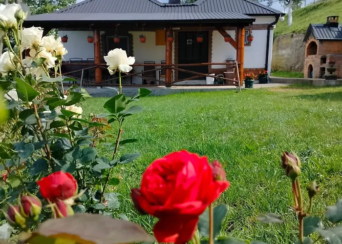 Дом отдыха Vujanac Vikend Kuca *